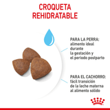 SHN MEDIUM STARTER M-B DOG - CROQUETA.png